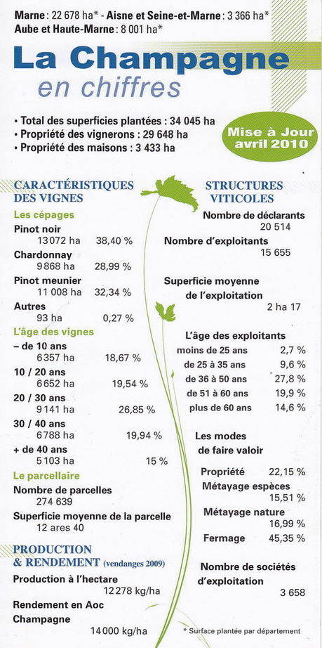 Champagne industry Statistics